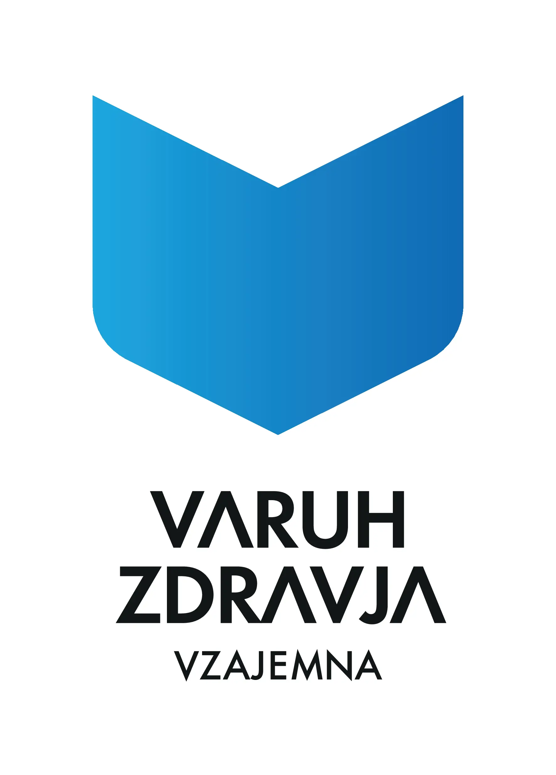 VZ sponsor logo